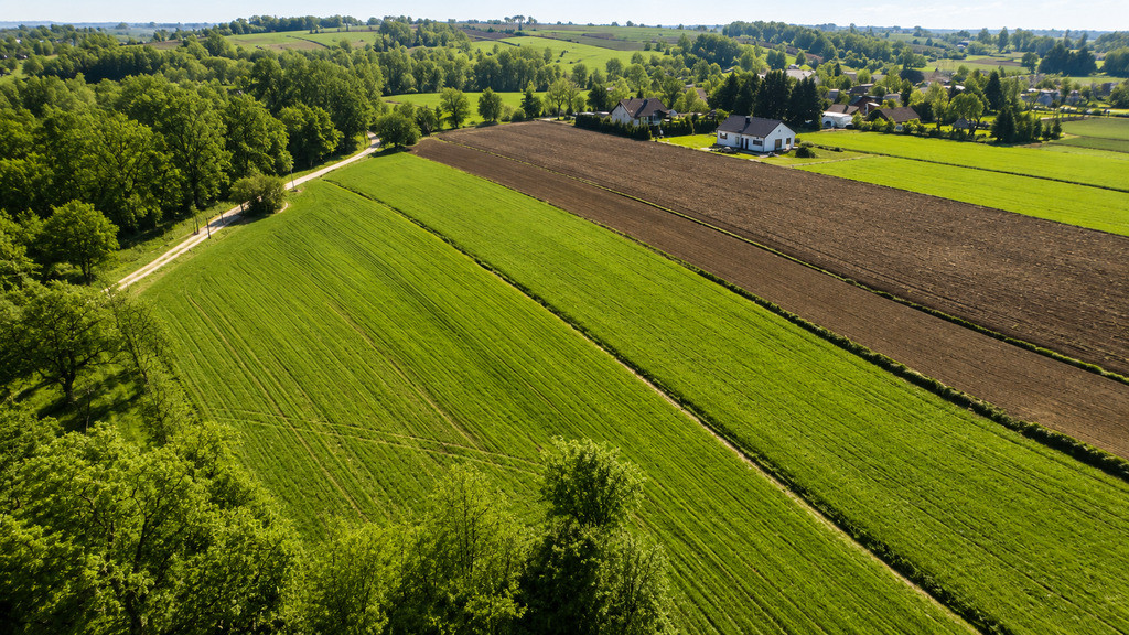 Działka Sprzedaż Jarosław 5