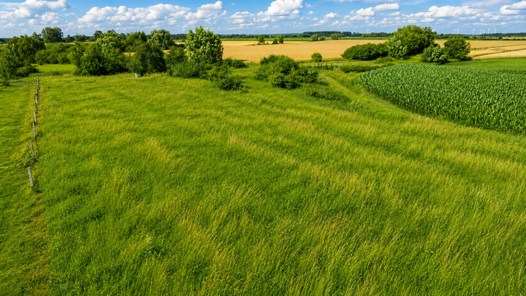 Działka Sprzedaż Surochów 7