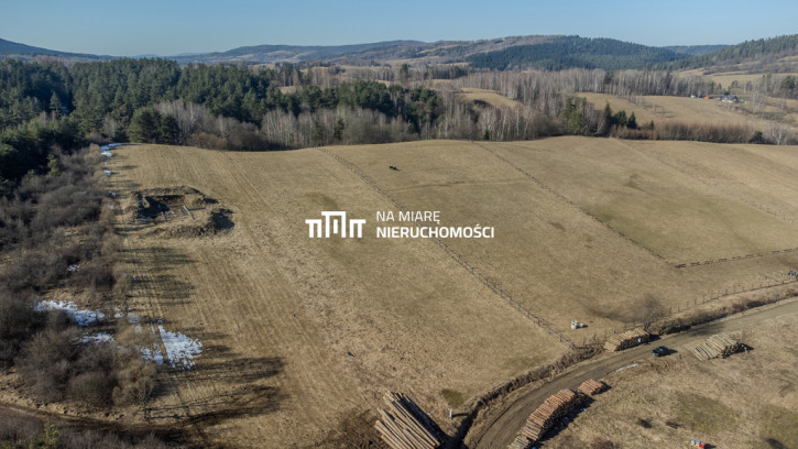 Działka Sprzedaż Hoszów 1
