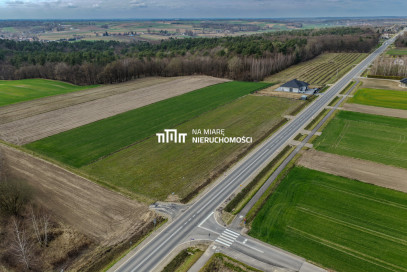 Działka Sprzedaż Chrapanów
