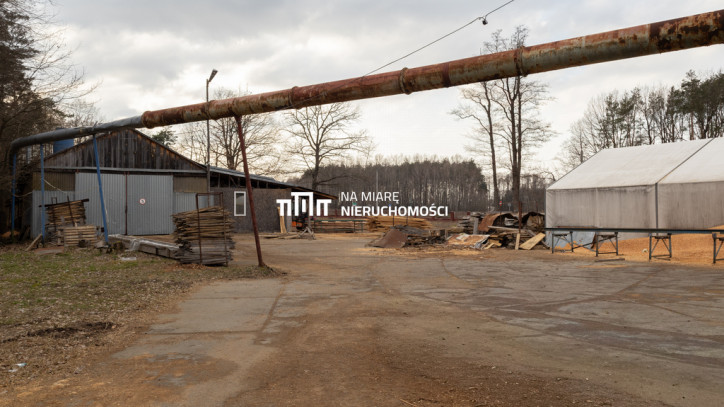 Lokal Sprzedaż Dzikowiec Kolbuszowska 4