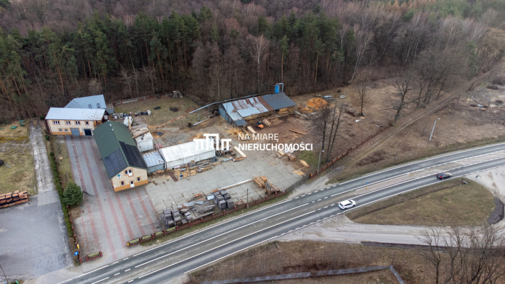 Lokal Sprzedaż Dzikowiec Kolbuszowska 5