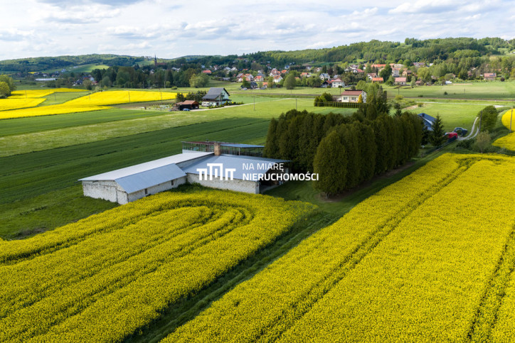 Obiekt Sprzedaż Dobrzechów 4