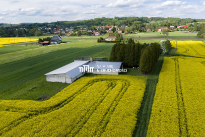 Obiekt Sprzedaż Dobrzechów