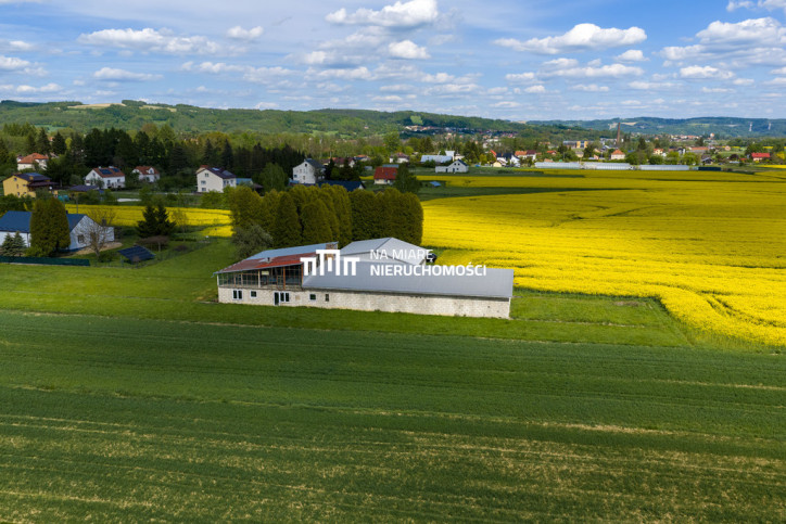 Obiekt Sprzedaż Dobrzechów 7