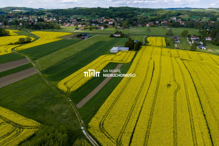 Obiekt Sprzedaż Dobrzechów 11