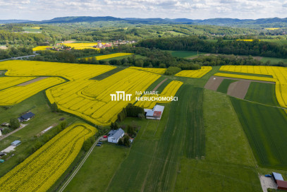 Obiekt Sprzedaż Dobrzechów