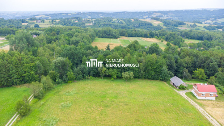 Działka Sprzedaż Lubenia 1