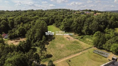Działka Sprzedaż Tyczyn Leśna