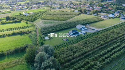 Dom Sprzedaż Andruszkowice