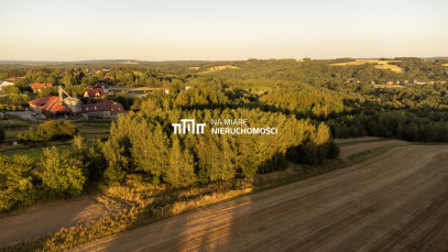Działka Sprzedaż Ropczyce Leśna 79