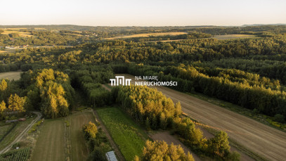 Działka Sprzedaż Ropczyce Leśna 79