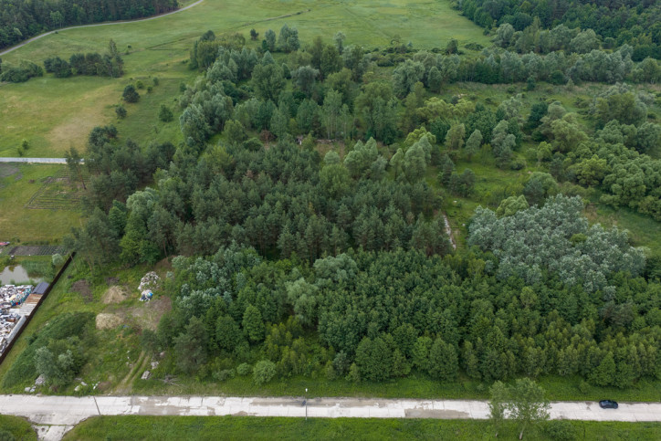 Działka Sprzedaż  Zabrnie Dolne 43