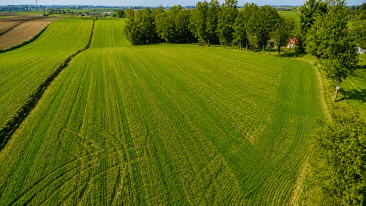 Działka Sprzedaż Jarosław 3
