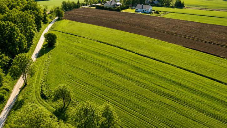 Działka Sprzedaż Jarosław 1